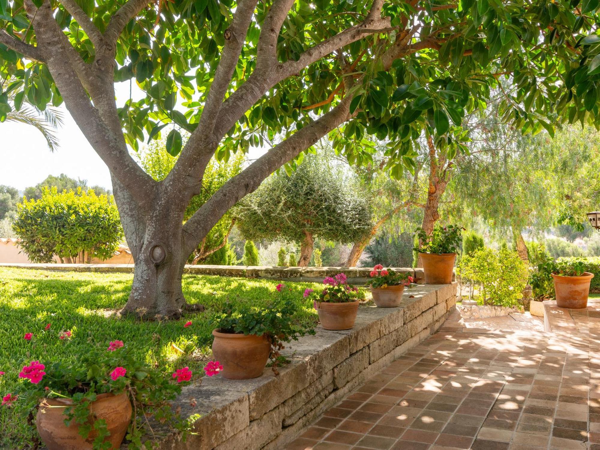 Son Flor Agroturisme Santa Margalida Ngoại thất bức ảnh